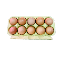 Rupūs Miltai| laisvai laikomų vištų kiaušiniai